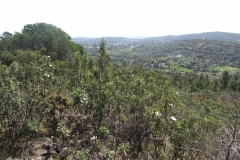 udsigt fra cerro d'alportel