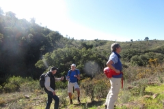 Vale de Rosa trail 14 jan.