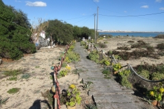 Ilha de Faro